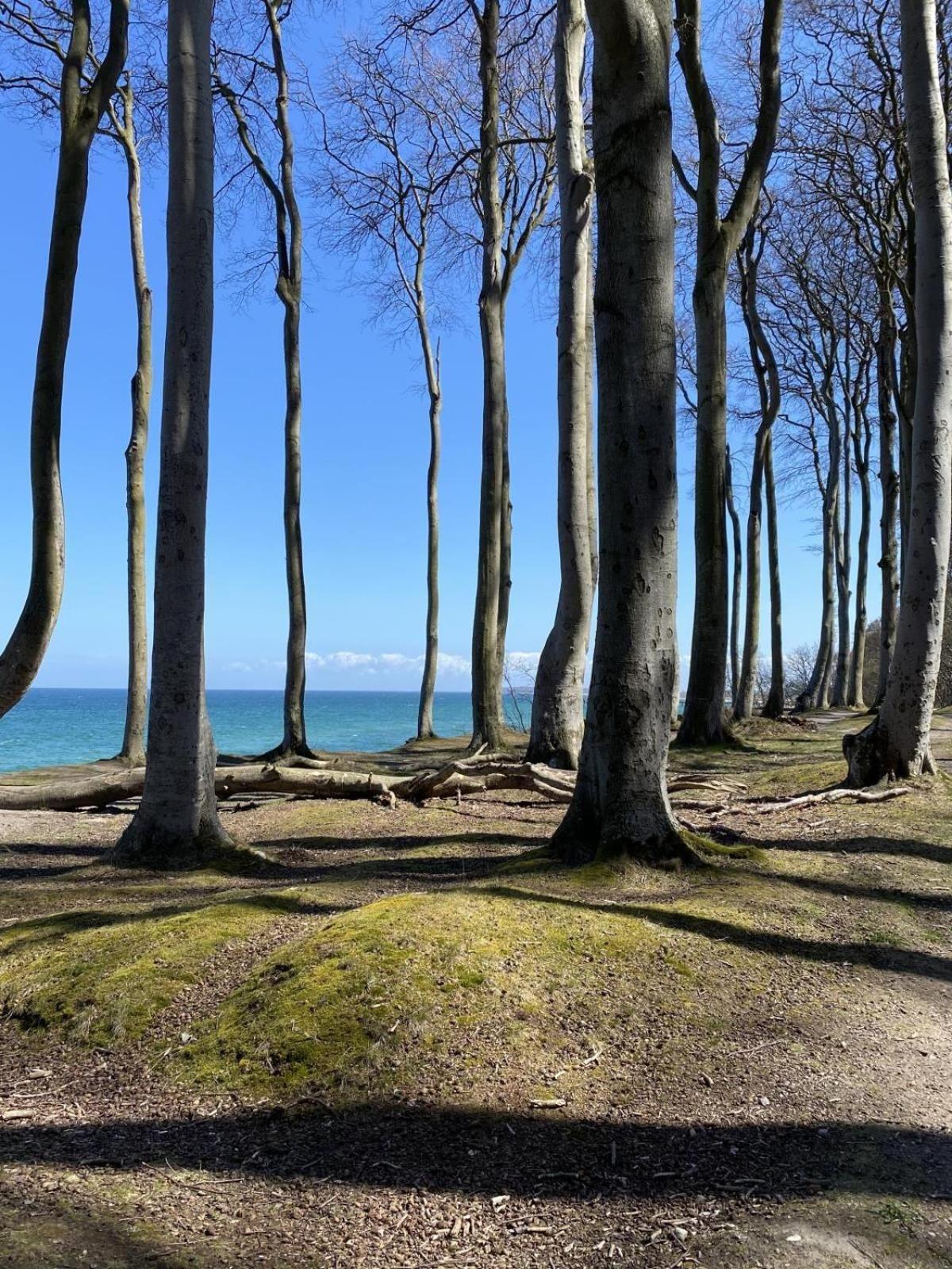 Charmantes Wohnen über Den Dächern Von * Ostseebad Kühlungsborn